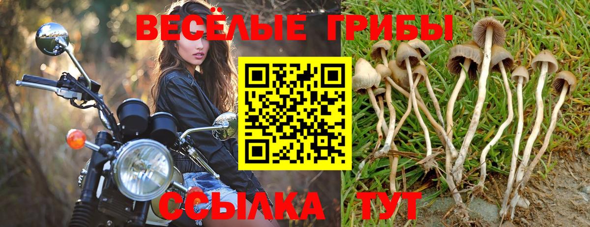 Галлюциногенные грибы мицелий  Вход с VPN  Сафоново  Галлюциногенные грибы MAGIC MUSHROOMS 